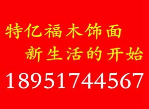 门业图片-南京特亿福木饰面南京木门_南京特亿福木饰面TYF_003图片